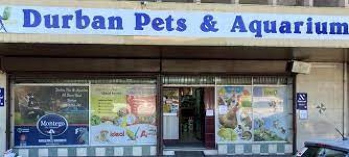 Durban Pets & Aquarium