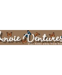 Anvie Ventures