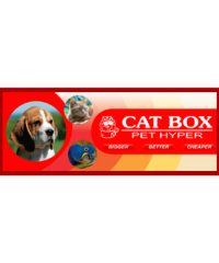 Cat Box Pet Hyper Hillcrest