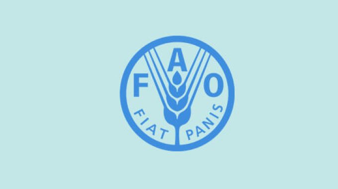 Food and Agriculture Organization