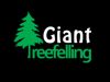Giant Tree Felling Cc