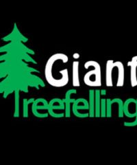 Giant Tree Felling Cc