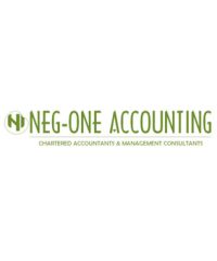 Neg-one Accounting
