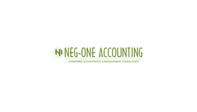 Neg-one Accounting