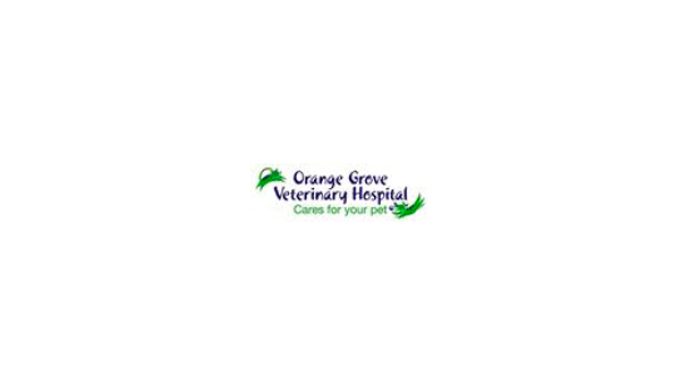 Orange Grove Veterinary Hospital